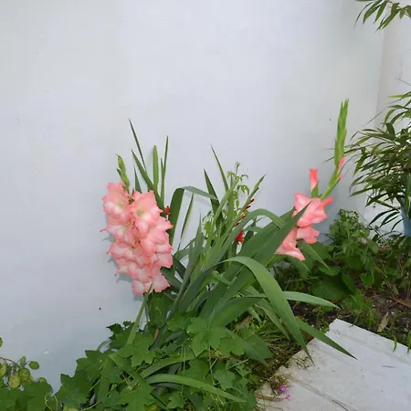 Atlantic 3* Saint-Pierre-d'Oleron