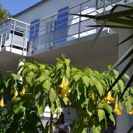 Atlantic Saint-Pierre-d'Oleron