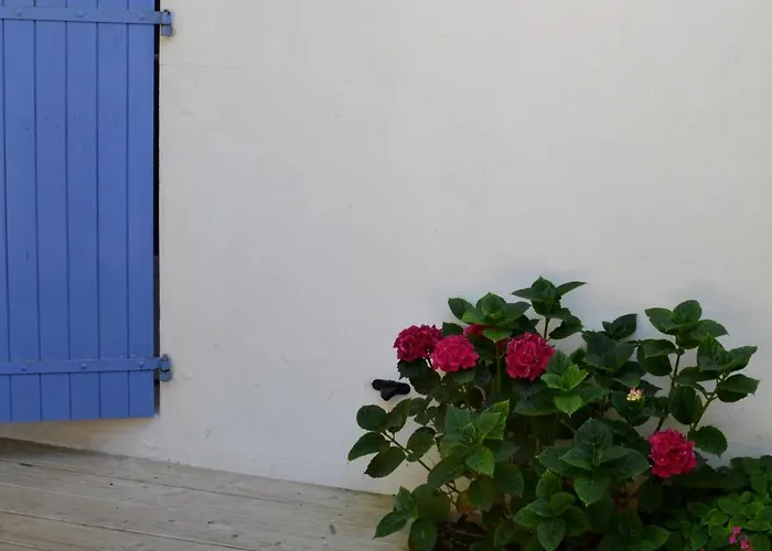 فندق Atlantic سان بيار دو أوليرون