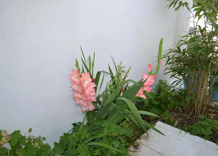 Atlantic 3* Saint-Pierre-d'Oleron