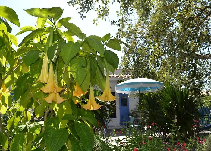 Atlantic Hotel Saint-Pierre-d'Oleron